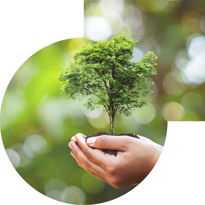 关怀人类、文化、环境与社会